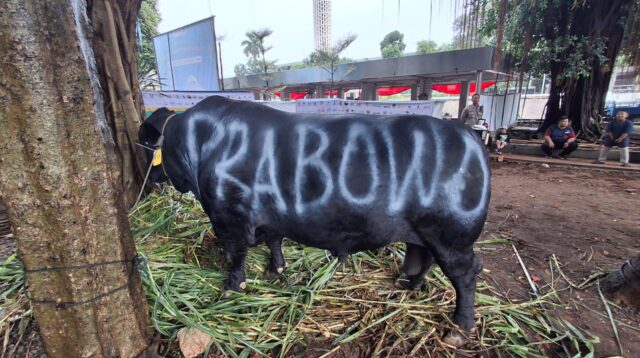 Partai Gerindra Salurkan Ratusan Hewan Kurban ke Masyarakat, Habaib, Ulama, Masjid, dan Mushola.